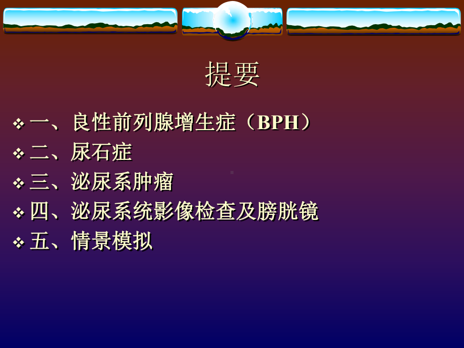 泌尿外科见习课件.ppt_第2页