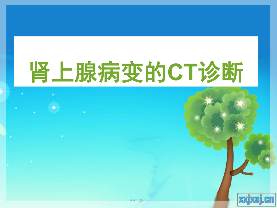 肾上腺病变的CT诊断-ppt课件.ppt_第1页