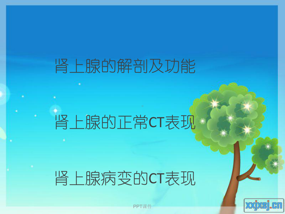 肾上腺病变的CT诊断-ppt课件.ppt_第2页