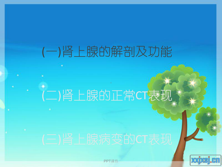 肾上腺病变的CT诊断-ppt课件.ppt_第3页