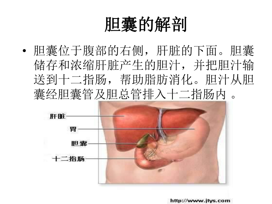 胆囊结石胆囊炎围手术期护理-ppt课件.ppt_第2页