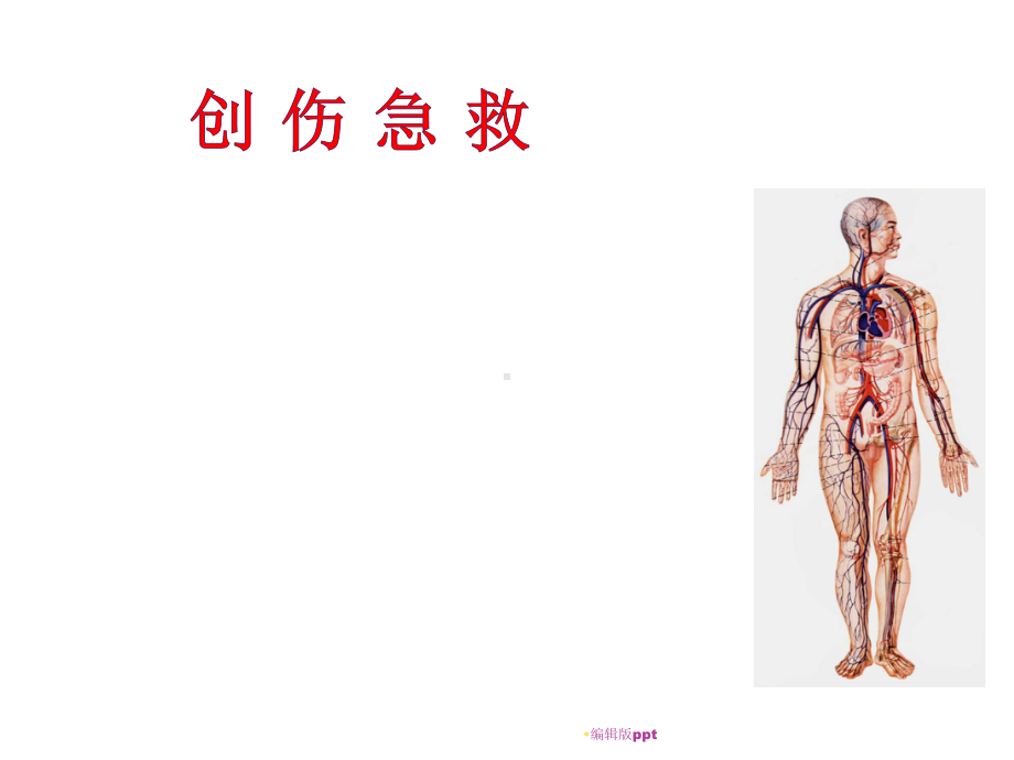 创伤急救PPT课件.pptx_第1页