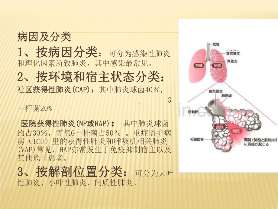 重症肺炎-的护理课件.ppt_第3页