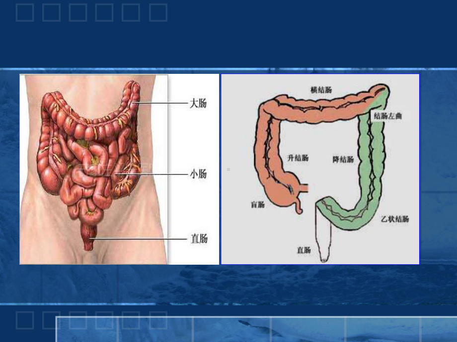 结直肠癌的免疫治课件.pptx_第2页