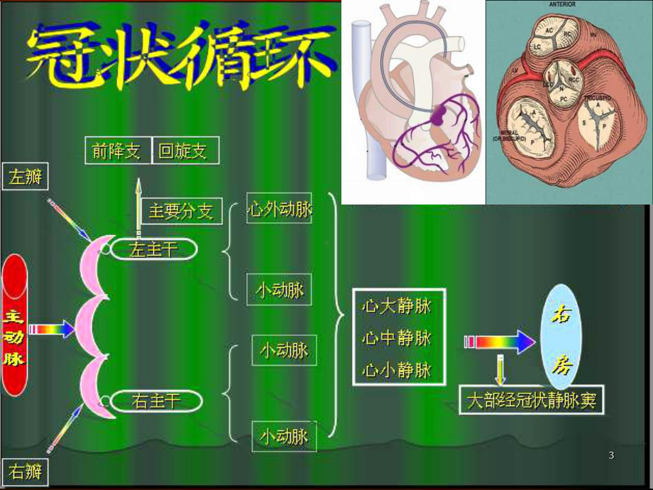 冠状动脉搭桥术后监护PPT课件.ppt_第3页