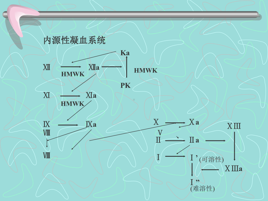 药理学之-血栓的药物治疗课件.ppt_第3页