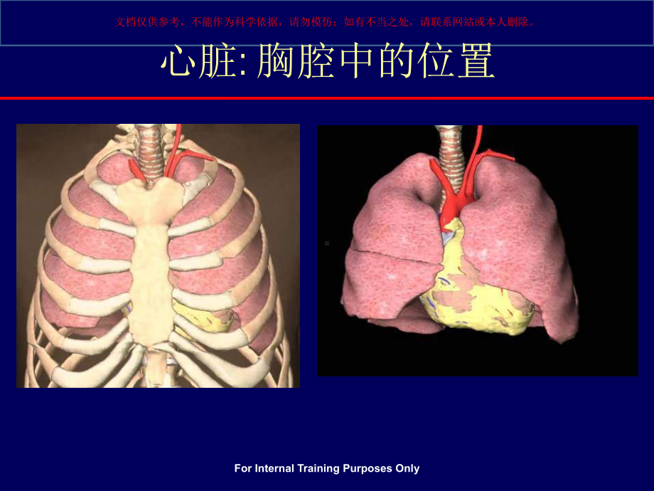 冠心病基础知识课件(同名120).ppt_第3页