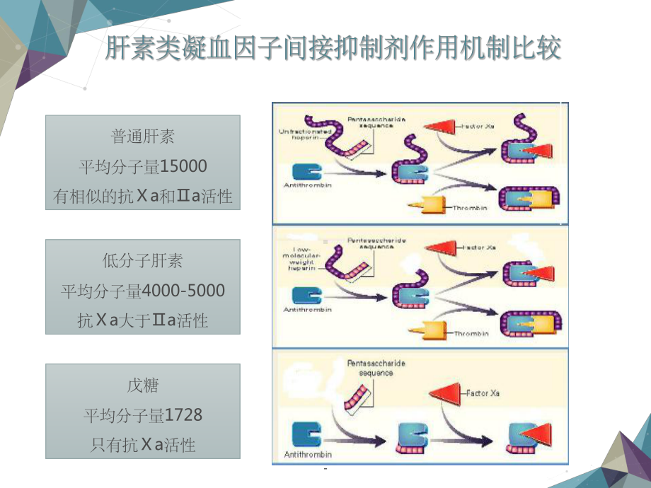 临床常用抗凝药物的应用课件.ppt_第3页