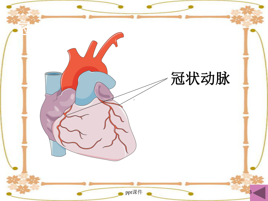 护理查房-冠状动脉粥样硬化性心脏病-ppt课课件.ppt_第3页