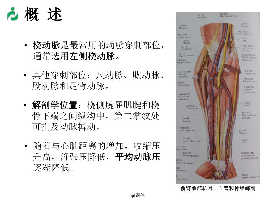 桡动脉穿刺置管操作与压力监测专家共识ppt课件.ppt_第3页