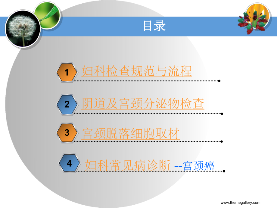 妇科检查规范;妇科常见病检查课件.ppt_第2页