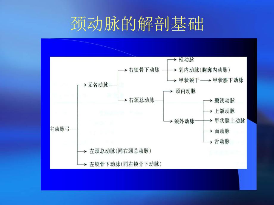 颈部血管超声指南-ppt课件.pptx_第3页