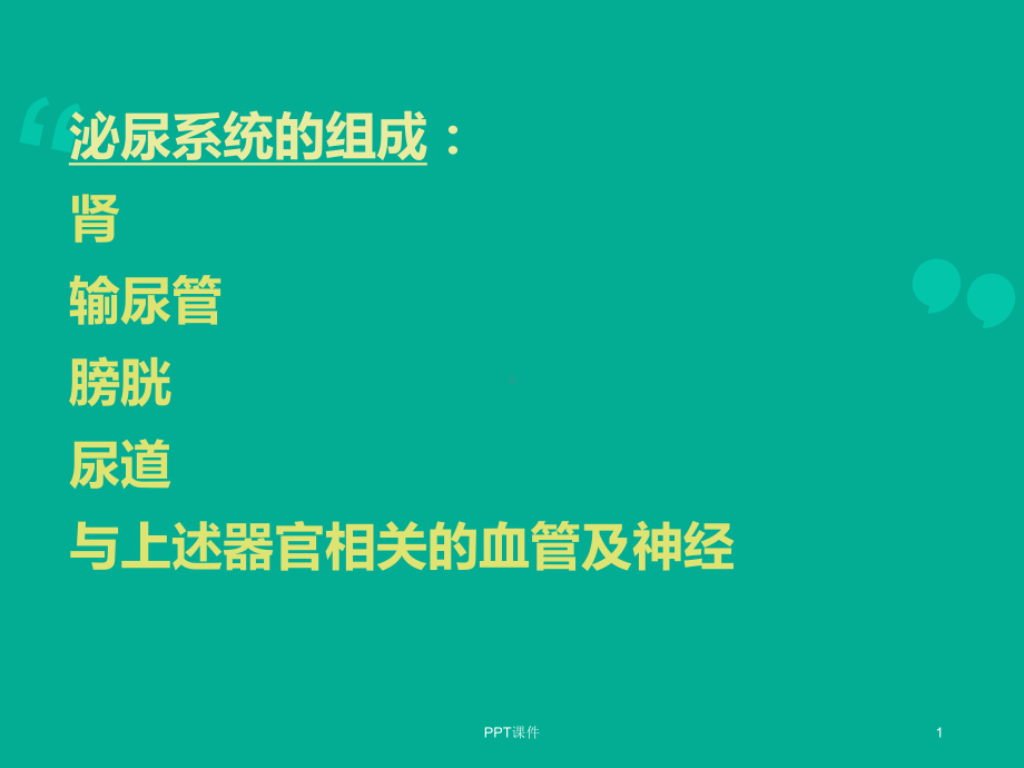 肾小球疾病总论-ppt课件.ppt_第1页