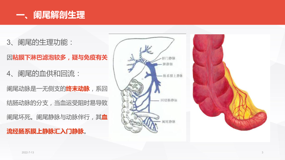 急性阑尾炎病人的护理PPT课件1.ppt_第3页