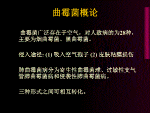 医学课件侵袭性肺曲霉菌病.ppt