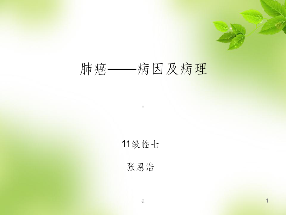 肺癌课件ppt.ppt_第1页