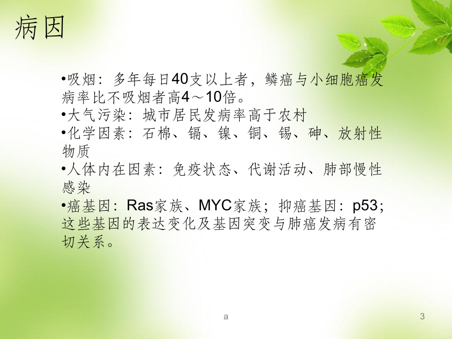 肺癌课件ppt.ppt_第3页