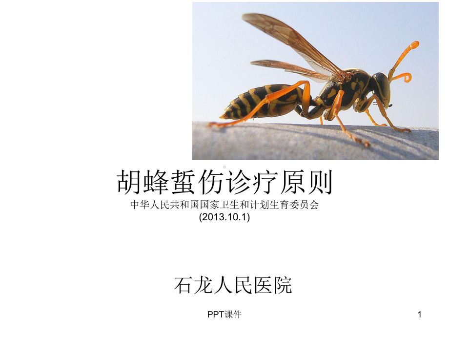 胡蜂蜇伤诊疗原则-ppt课件.ppt_第1页