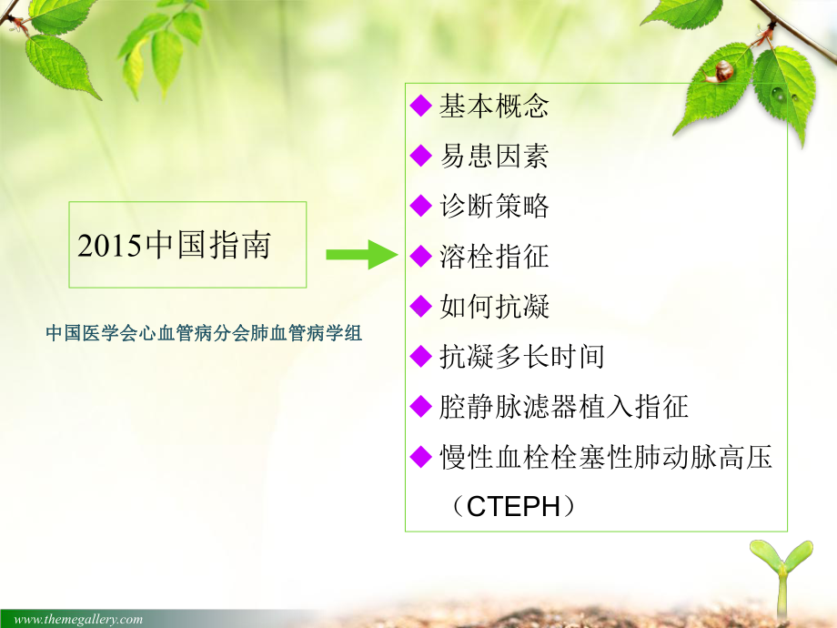 急性肺栓塞诊断及治疗指南ppt课件.ppt_第3页