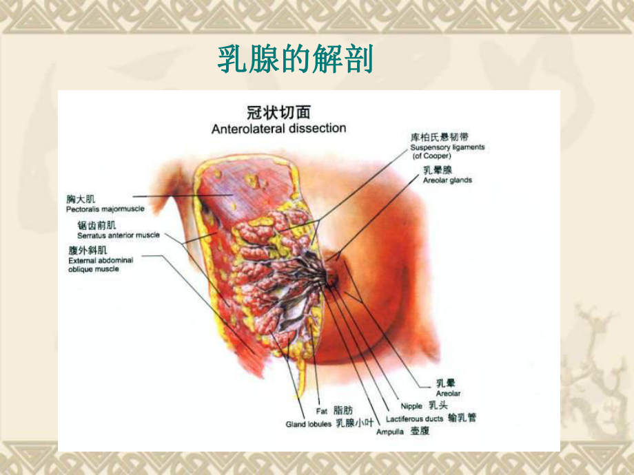 乳腺恶性肿瘤超声诊疗培训课件.ppt_第2页