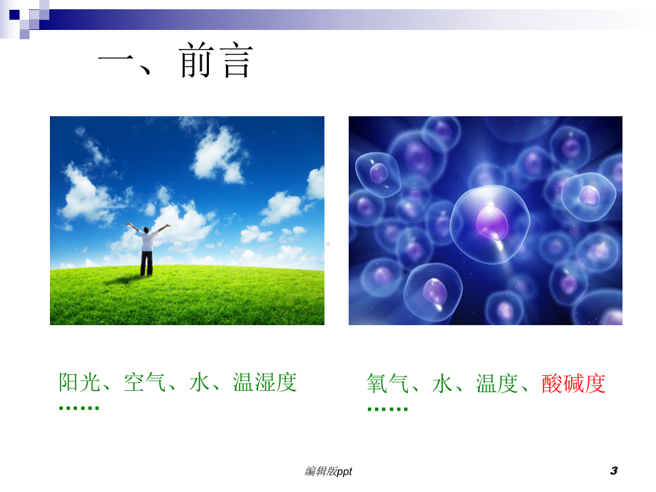 酸中毒诊断与治疗课件.ppt_第3页