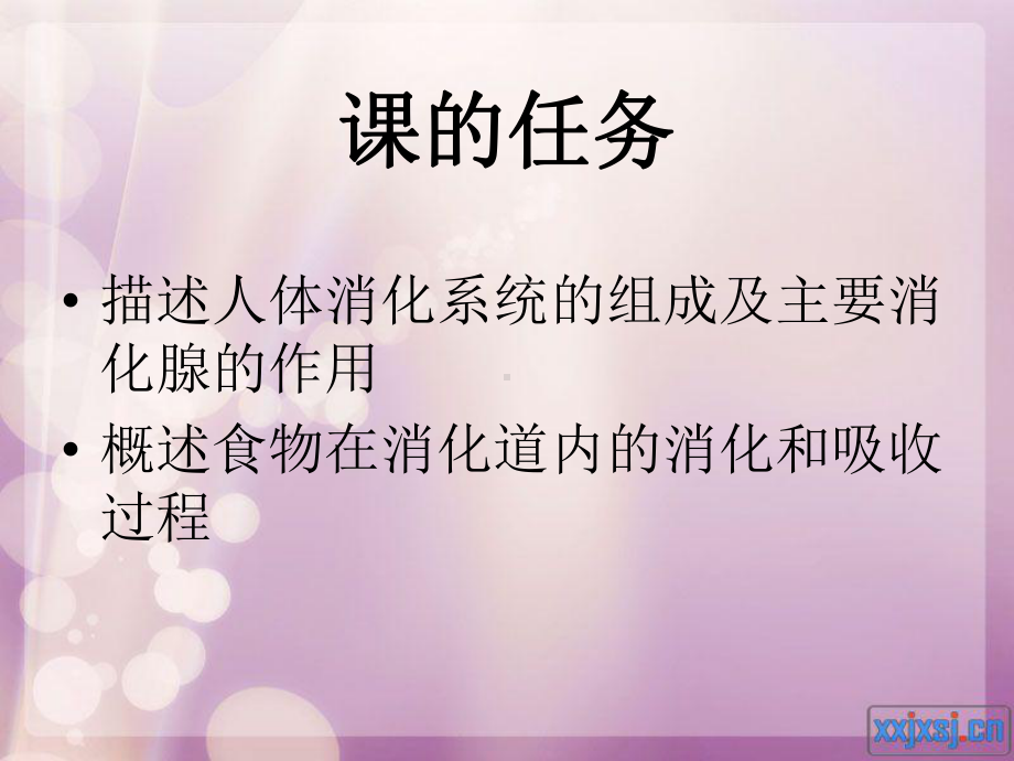 人体消化系统ppt课件.ppt_第3页