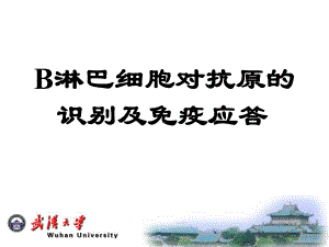 体液免疫应答课件.ppt