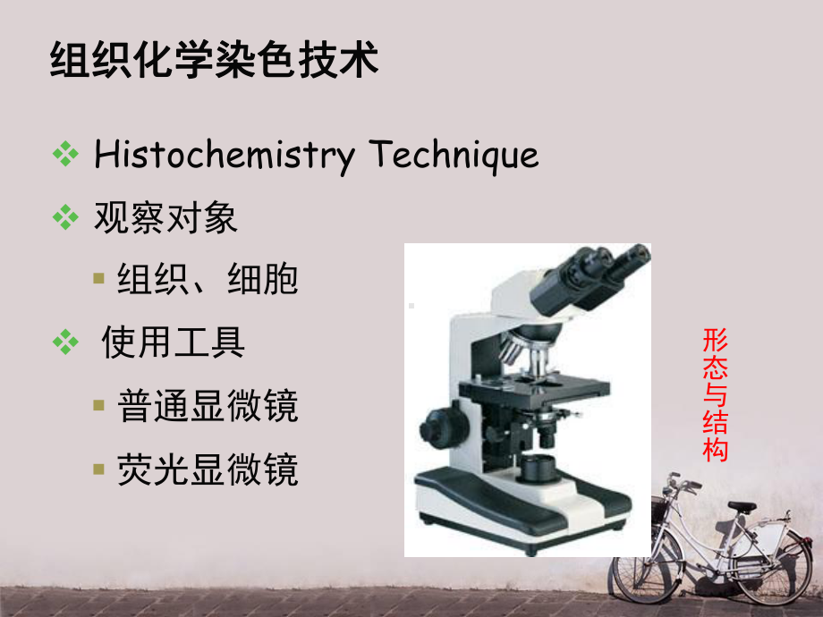 免疫组织化学染色技术-ppt课件.ppt_第2页