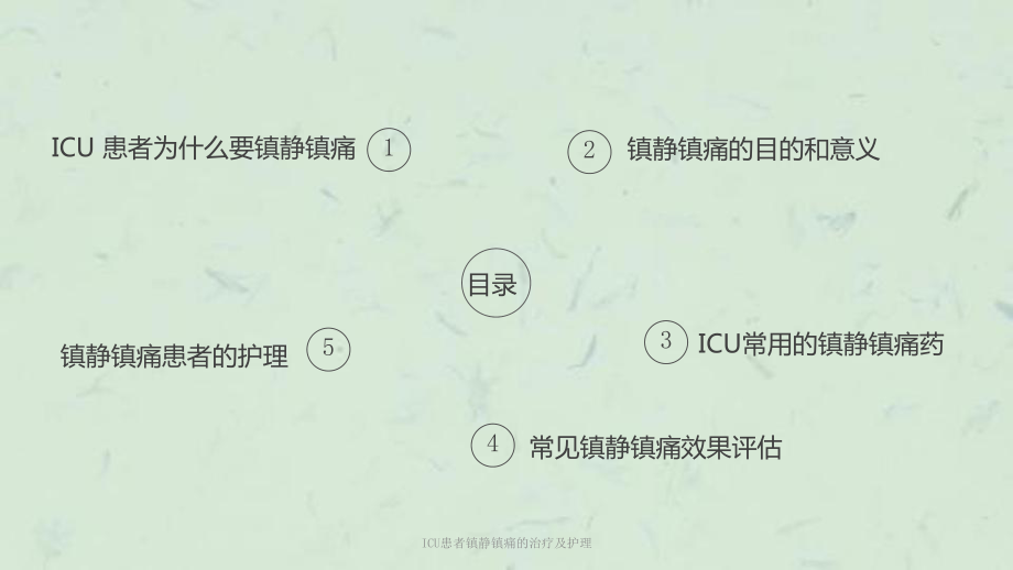 ICU患者镇静镇痛的治疗及护理课件.ppt_第2页