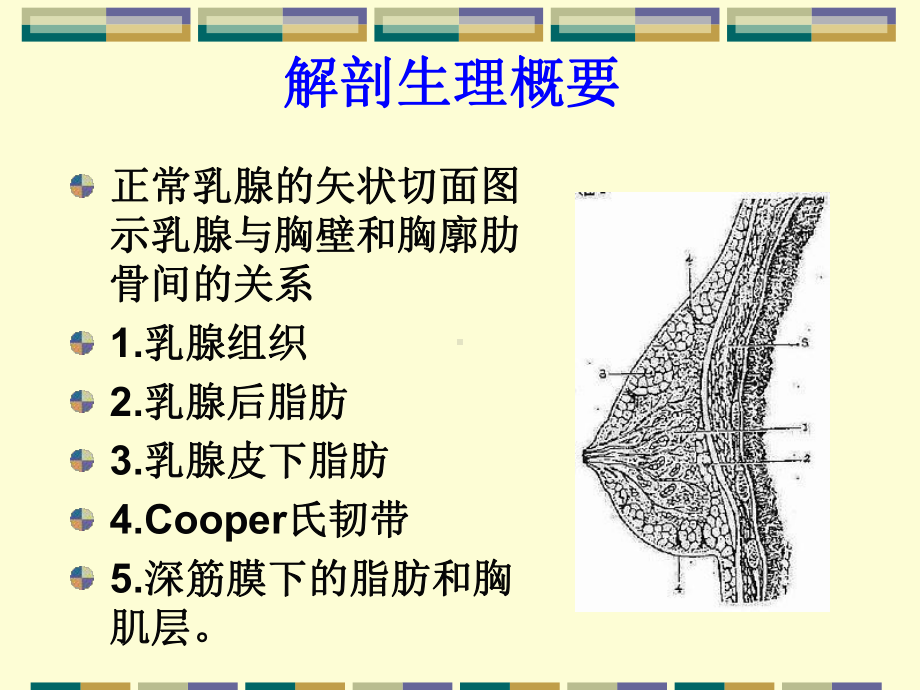 乳腺外科疾病的诊断与治疗课件.ppt_第3页