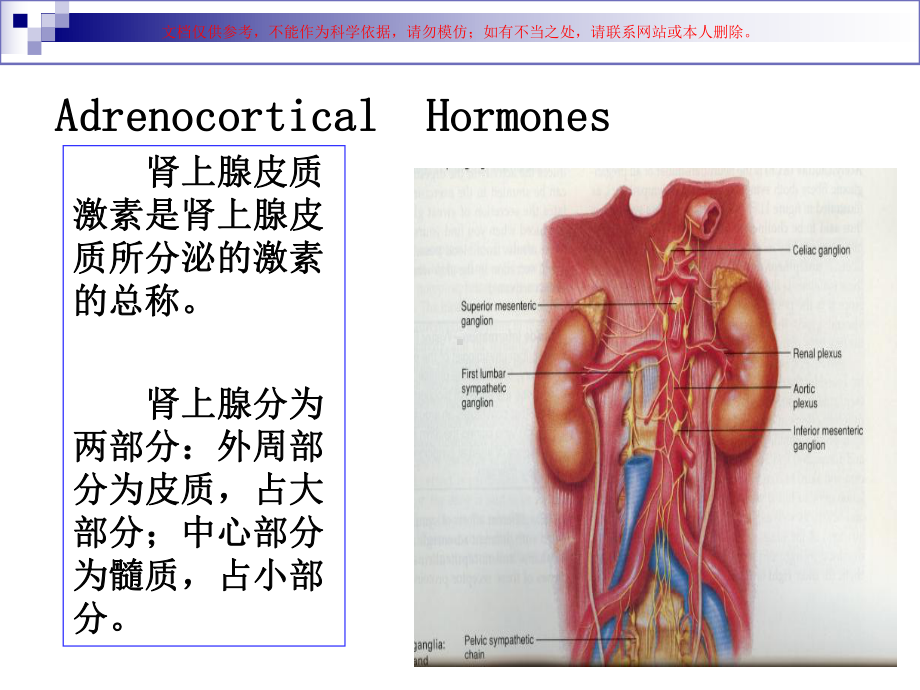 药理学糖皮质激素课件.ppt_第1页