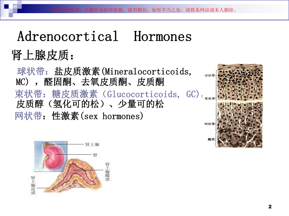 药理学糖皮质激素课件.ppt_第2页