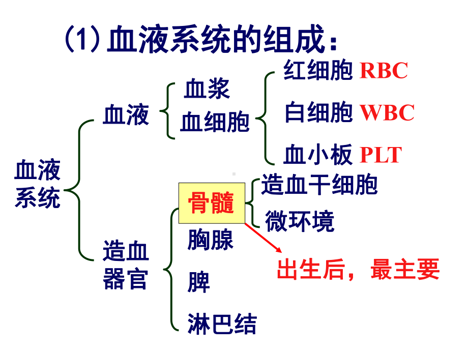 内科护理学课件-血液常见症状护理.ppt_第3页