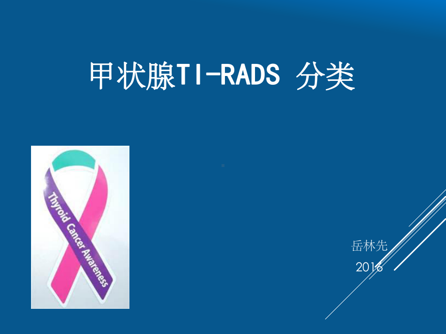 甲状腺TI-RADS分类PPT课件.ppt_第1页