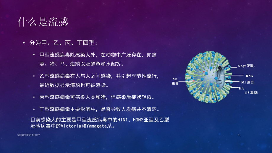 流感的预防和治疗ppt课件.ppt_第3页