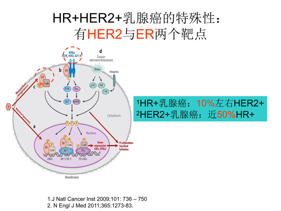 luminalHER2-晚期乳腺癌一线解救治疗存在4个问题课件.ppt_第2页