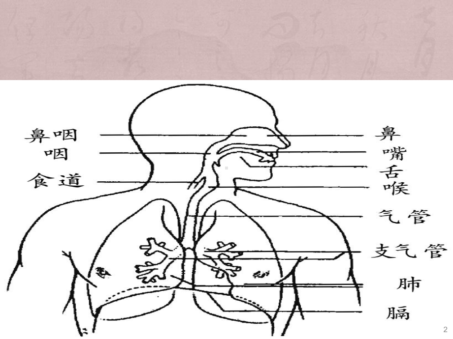 急性气道梗阻ppt课件.ppt_第2页