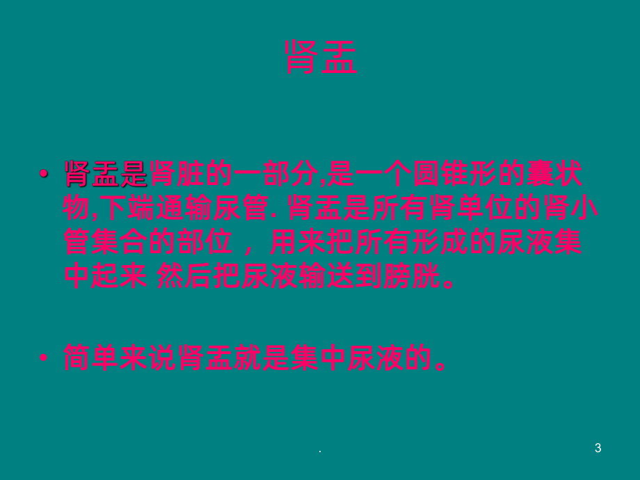 急性肾盂肾炎-ppt课件.ppt_第3页