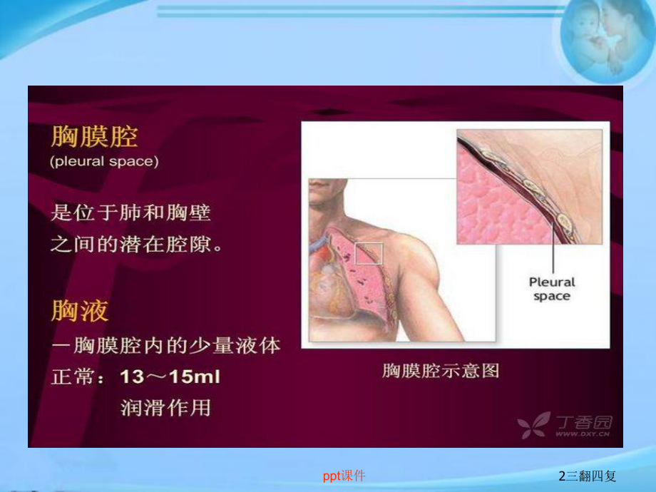 胸腔穿刺-ppt课件.ppt_第2页