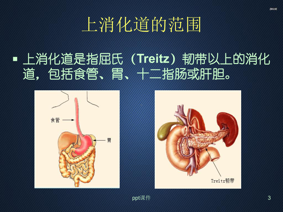 上消化道出血的诊断及外科处理-ppt课件.ppt_第3页