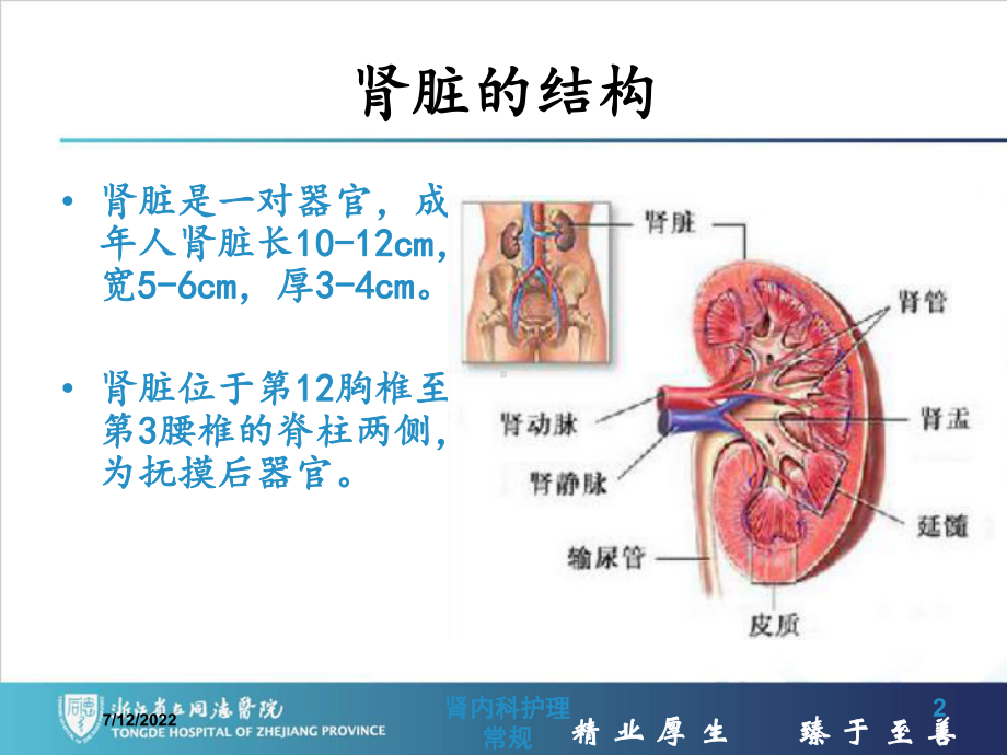 肾内科护理常规培训课件.ppt_第2页