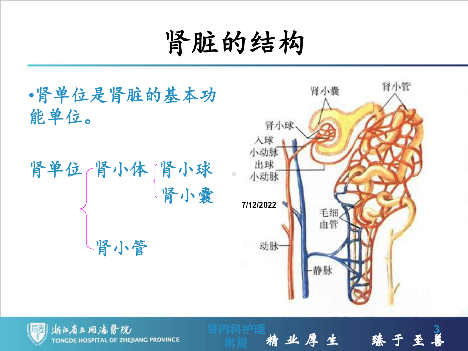 肾内科护理常规培训课件.ppt_第3页