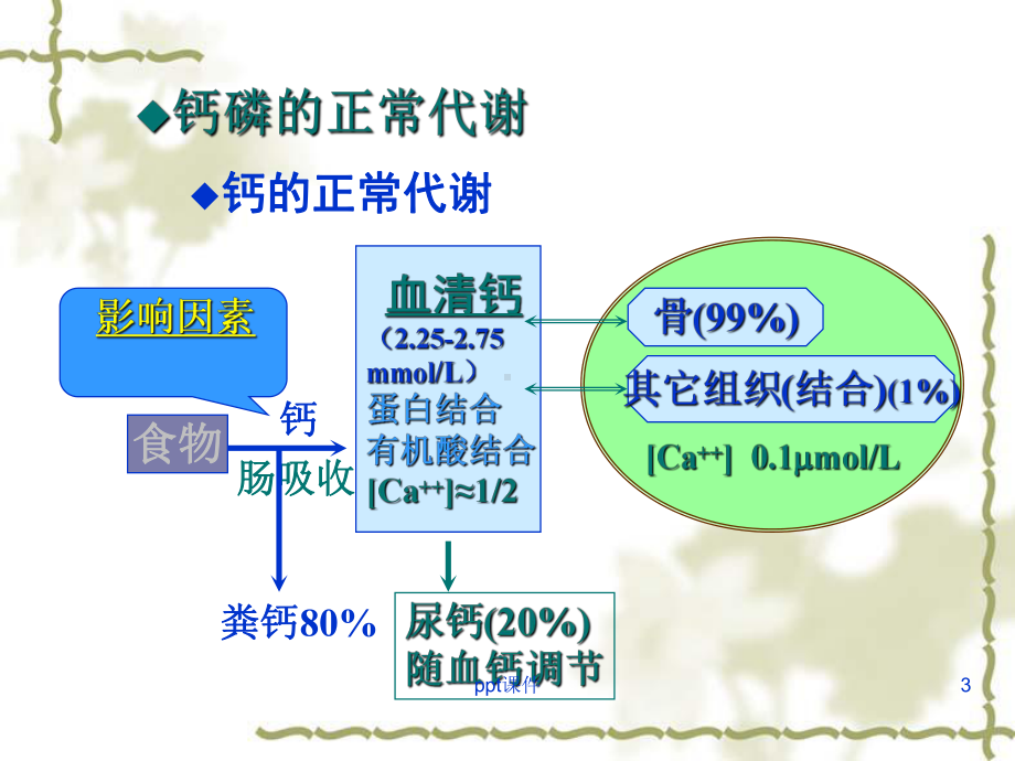 高钙血症与高血钙危象-(2)-ppt课件.ppt_第3页