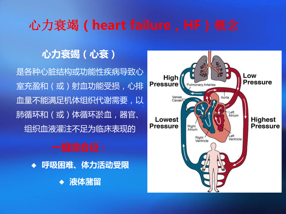 心力衰竭培训课件.pptx_第3页