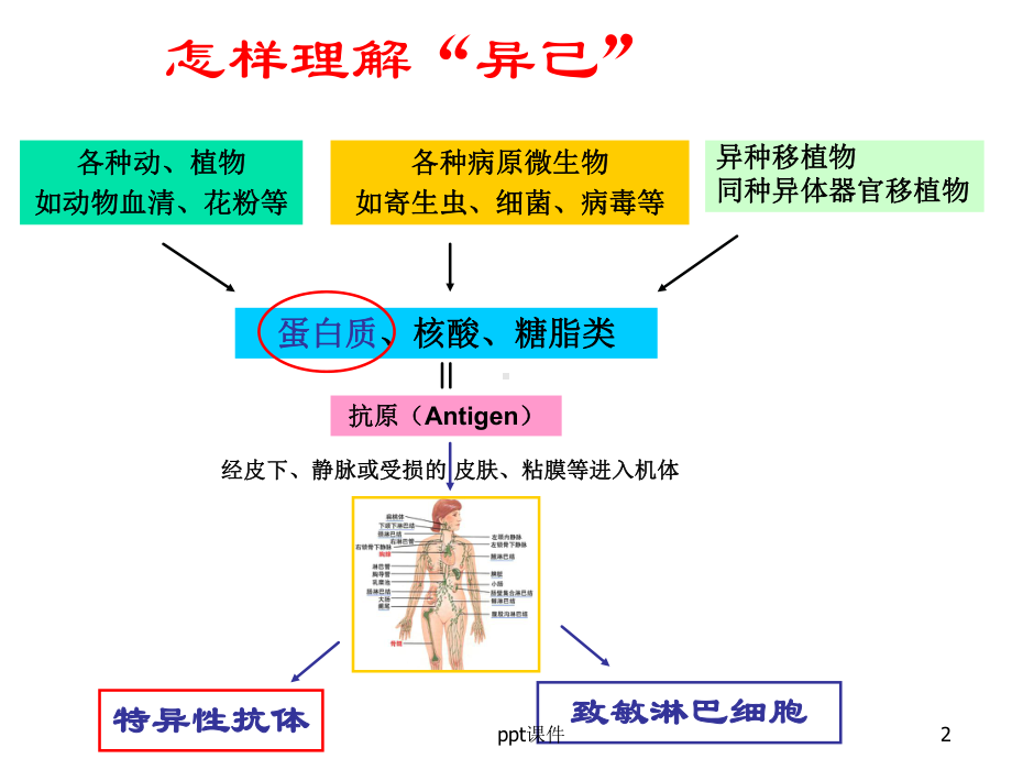 《医学免疫学》抗原-ppt课件.ppt_第2页