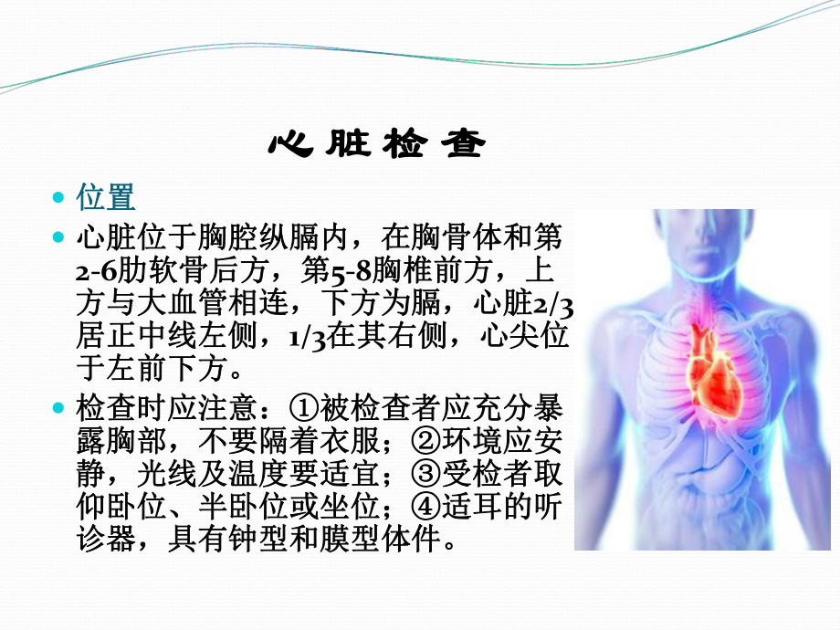 心脏和血管检查讲义课件.ppt_第2页