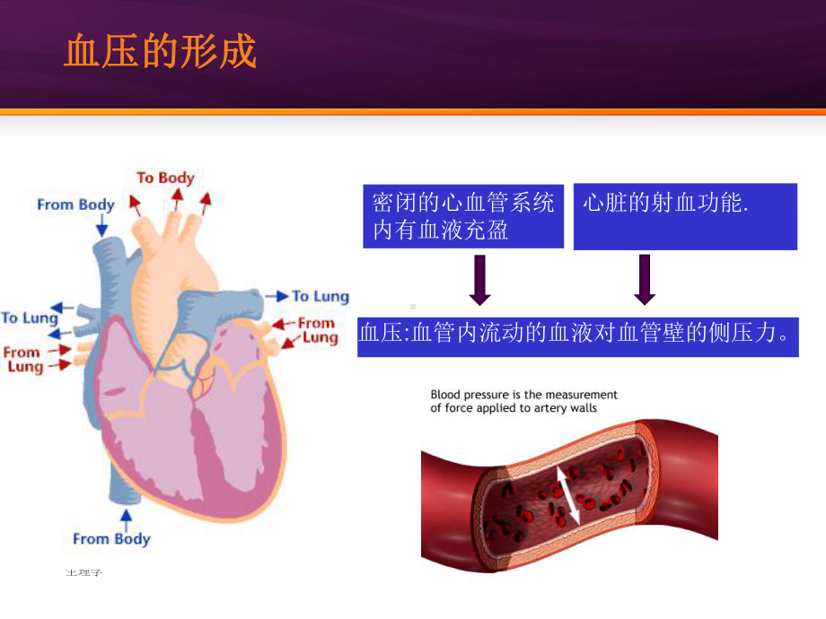 肺动脉高压相关疾病知识PPT课件.ppt_第3页