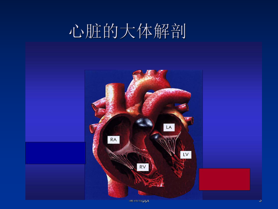 冠状动脉粥样硬化与介入治疗PPT课件.ppt_第3页