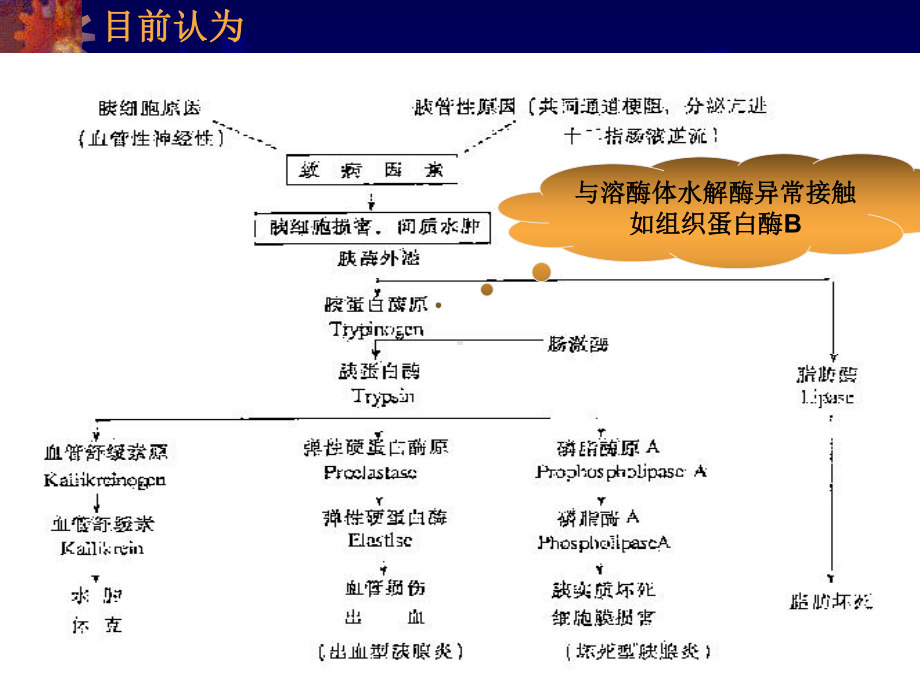 重症急性胰腺炎临床处理中值得注意的几个问题课件.ppt_第3页