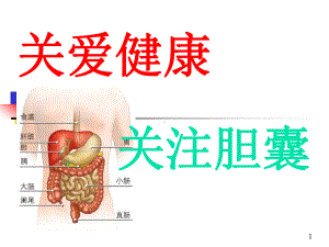 胆囊饮食指导ppt课件.ppt